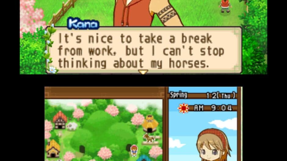 Harvest Moon: The Tale of Two Towns screenshot 6