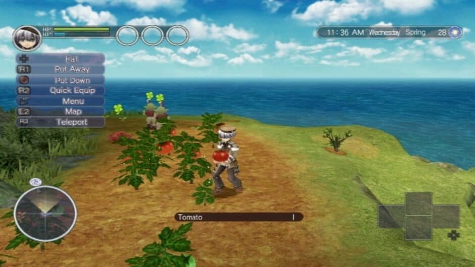 Rune Factory: Tides of Destiny screenshot 2