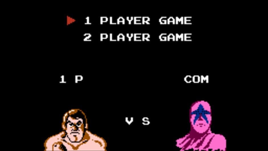 Pro Wrestling screenshot 3