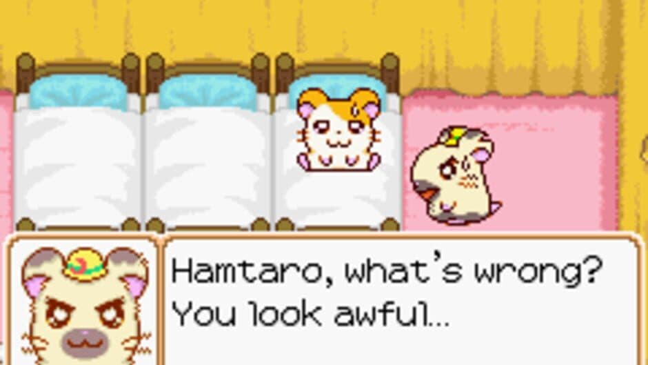 Hamtaro: Ham-Ham Heartbreak screenshot 6
