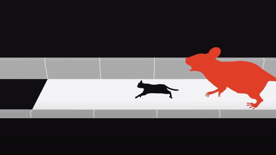Black Cat Explores Minds screenshot 4