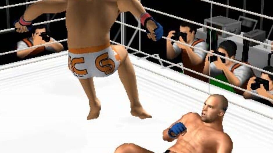 Pride FC: Fighting Championships screenshot 2
