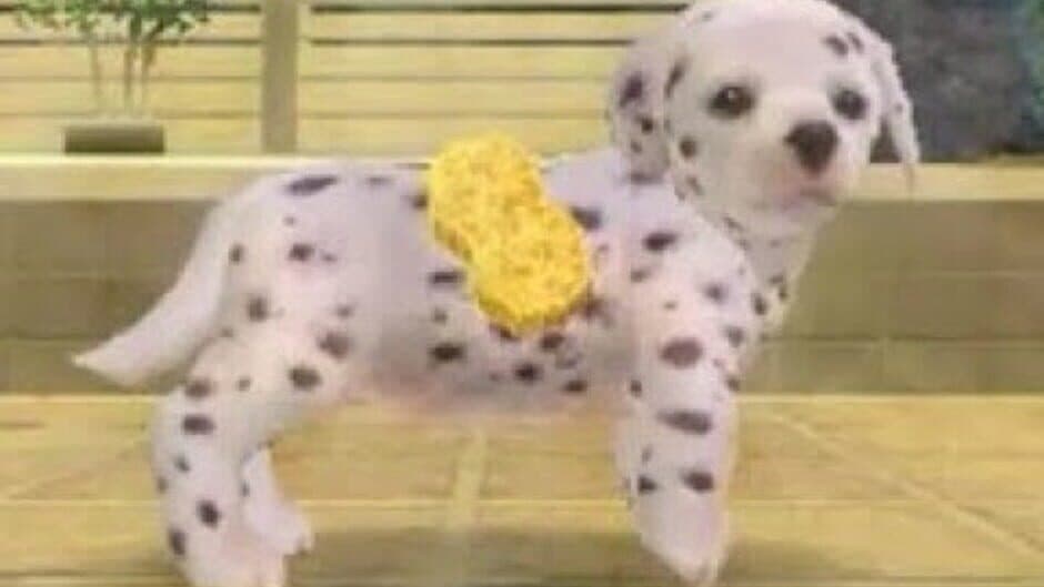 Nintendogs: Dalmatian & Friends screenshot 5