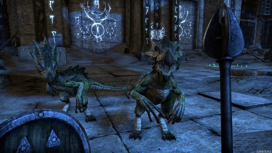 The Elder Scrolls Online screenshot
